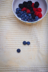 Background of fresh fruits and berries. Ripe blackberries, blueberries, plums, raspberries. Mix berries and fruits. Top view. Background berries and fruits. Black-blue and red food.