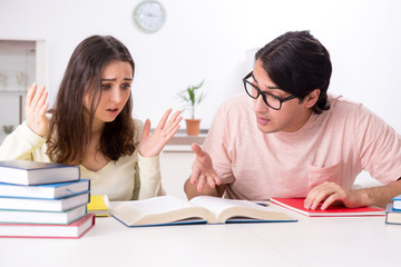 Students preparing for exam together at home