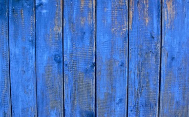 Old blue tree close-up.Texture blue color