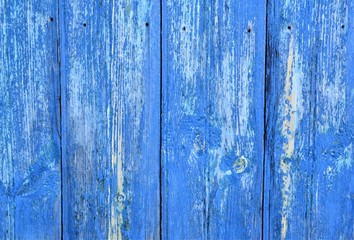Fototapeta na wymiar Old blue tree close-up.Texture blue color