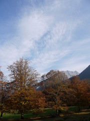 Fototapeta premium Herbst in den Bergen