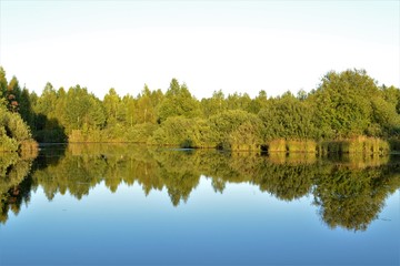 beautiful view of the pond with the reflection of trees and 