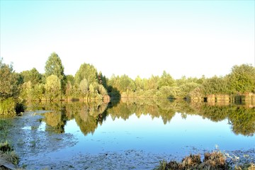 beautiful view of the pond with the reflection of trees and 