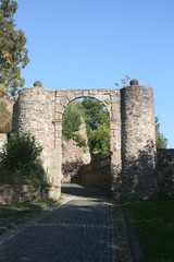 Fototapeta na wymiar Burg Dhronecken im Hochwald