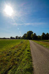 Fototapeta premium country road in the field