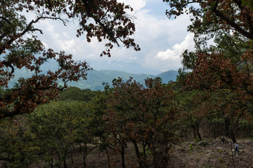 cerros