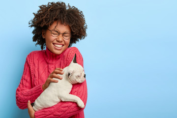 Portrait of overjoyed female dog owner holds small white puppy, laughs positively, being in good...