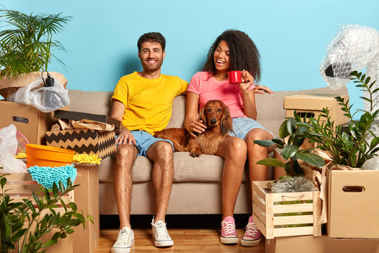 Photo of happy relaxed woman and man buy new apartment for living, pose on couch with favourite pet, have unpacked boxes around, pose indoor against blue studio wall. Moving day and relocation - Powered by Adobe