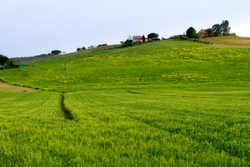 Magliano in Toscana (Grosseto)