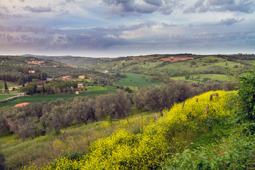 Fototapeta na wymiar Magliano in Toscana (Grosseto)