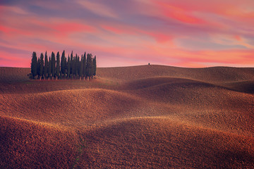 Obraz premium Tuscany landscape with cypress