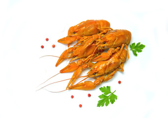 crayfish boiled near parsley leaves on a white background