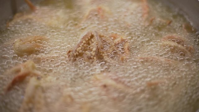 Frying delicious squids and calamari at home or in a restaurant kitchen.