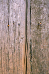 Fence from old weathered pine boards. Texture of natural aged wood. Woodworm holes, rusty nails. Creative vintage background.