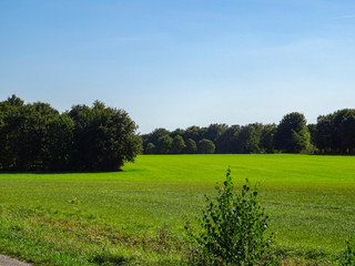 green countryside