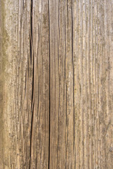 Fence from old weathered pine boards. Texture of natural aged wood. Woodworm holes, rusty nails. Creative vintage background.
