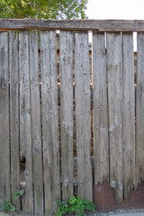 Fence from old weathered pine boards. Texture of natural aged wood. Woodworm holes, rusty nails. Creative vintage background.