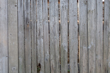 Fence from old weathered pine boards. Texture of natural aged wood. Woodworm holes, rusty nails. Creative vintage background.