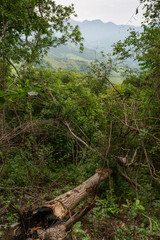 cerros
