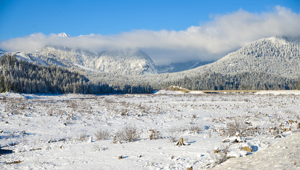 White Winter Snowfield Nature Landscape By The Cascade Mountain Range On A Blue Sky Sunny Bright Day , Snoqualmie Pass, Washington, United States