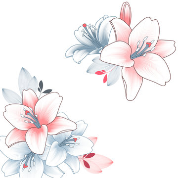 Hand-drawn lily flower. Vector element for design.