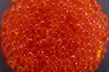 Red caviar in the glass jar close up macro