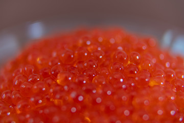 Red caviar in the glass jar close up macro