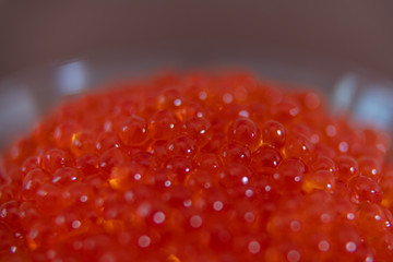Red caviar in the glass jar close up macro