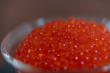 Red caviar in the glass jar close up macro