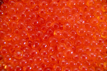 Red caviar in the glass jar close up macro