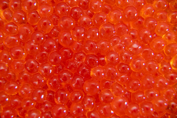 Red caviar in the glass jar close up macro