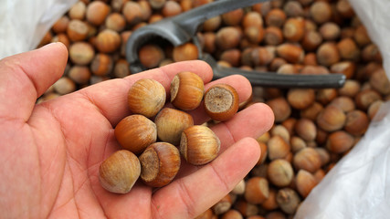 close-up of shelled nuts, large amounts of shelled nuts