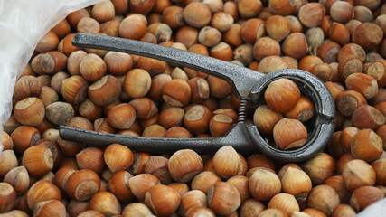 nut crushing apparatus and many shelled nuts, close-up,