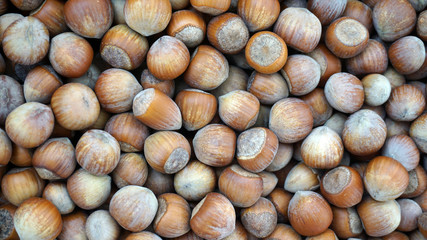 close-up of shelled nuts, large amounts of shelled nuts