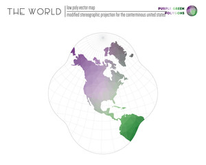 Triangular mesh of the world. Modified stereographic projection for the conterminous United States of the world. Purple Green colored polygons. Elegant vector illustration.