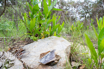 Obraz premium Senderismo