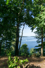 Idyllic view of Grunewald, Havelhöhenweg, Berlin, Germany on a sunny day