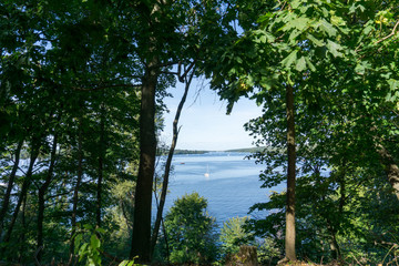 Obraz premium Idyllic view of Grunewald, Havelhöhenweg, Berlin, Germany on a sunny day