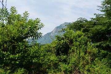 Obraz premium Senderismo