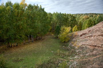 Golden autumn in deciduous forest