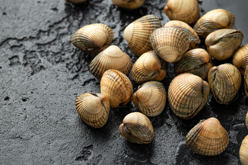 Fresh raw cockle molluscs in heart-shaped shells, sea food shellfish on dark background