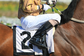 Horse racing  jockey in saddle details