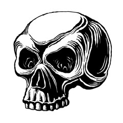 Human skull. Vector black and white illustration isolated on white background