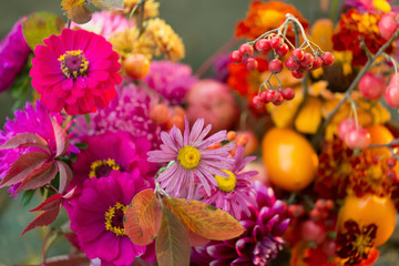 Fototapeta na wymiar Autumn pink orange flowers closeup background, fall bouquet