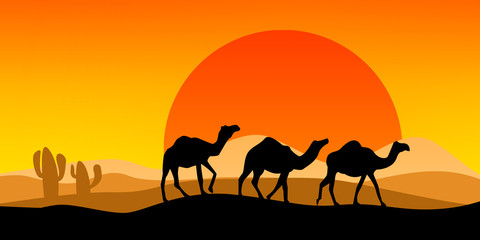 Landscape with camel silhouette with sunset