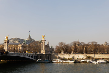 Paris, France - Alexandre III bridge and Grand Palais