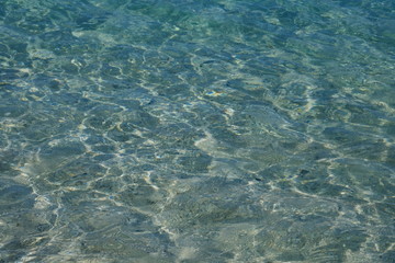 小笠原の透明度