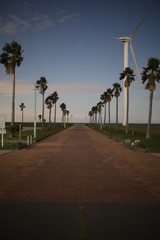 風車と街道