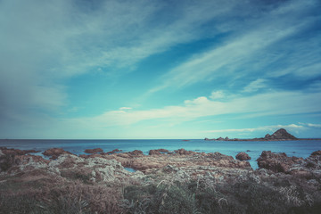Wellington, New Zealand Nature Landscape; vintage style