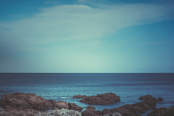 Obraz premium Wellington, New Zealand Nature Landscape; vintage style